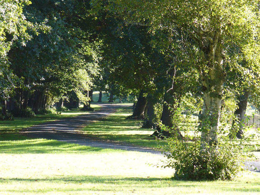 Oak Lane Lodge Hamilton Exteriér fotografie