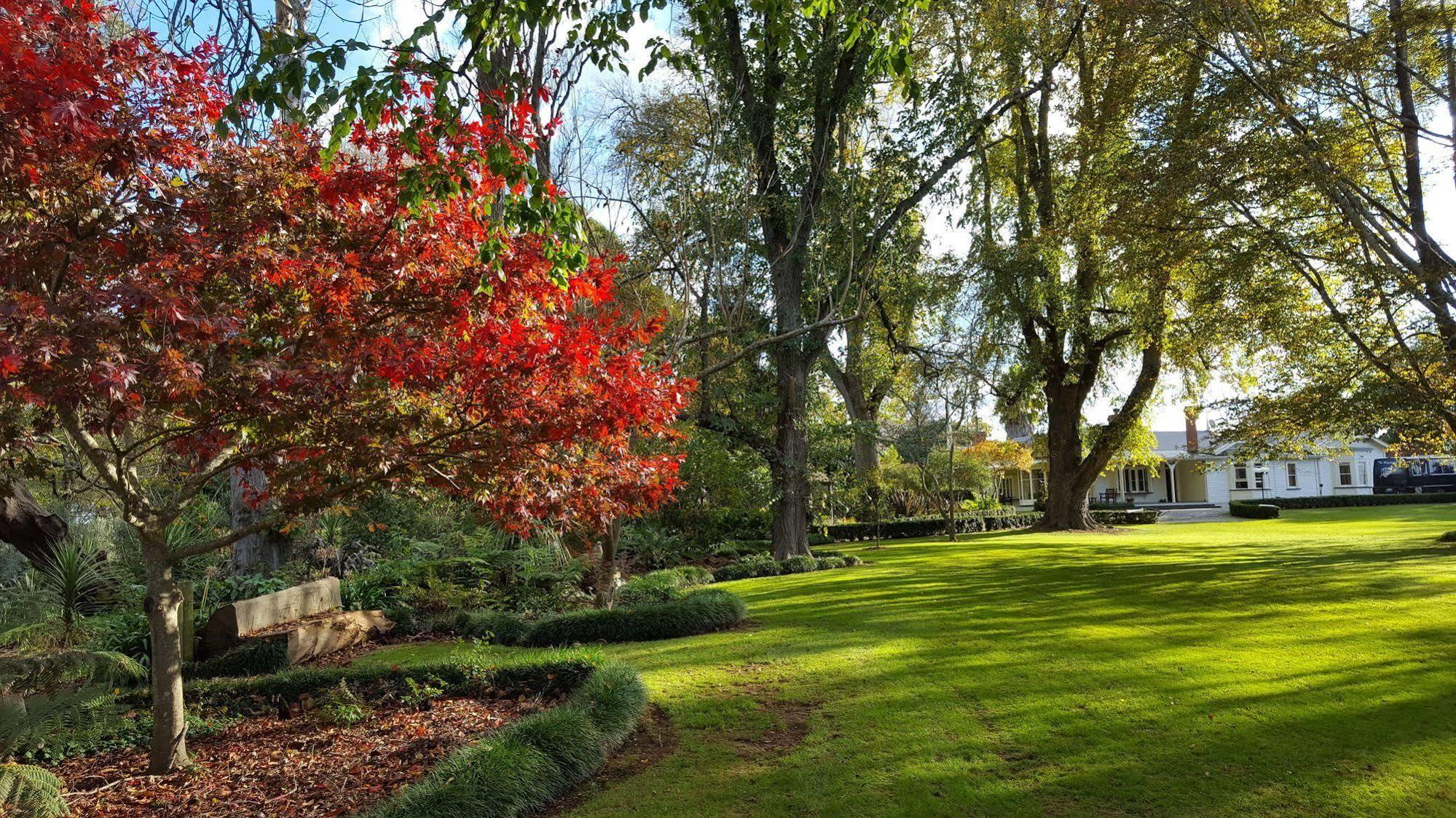 Oak Lane Lodge Hamilton Exteriér fotografie